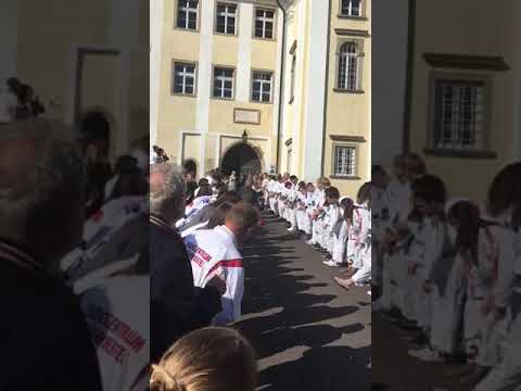 UJZ-Judoka stehen Spalier bei Ernst Hofers Hochzeit