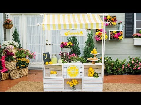 Ken Wingard's Lemonade Stand - Home & Family