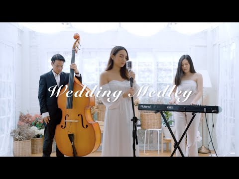 Wedding Medley (Beautiful In White, Can't Help Falling In Love, Perfect and more) - Mild Nawin