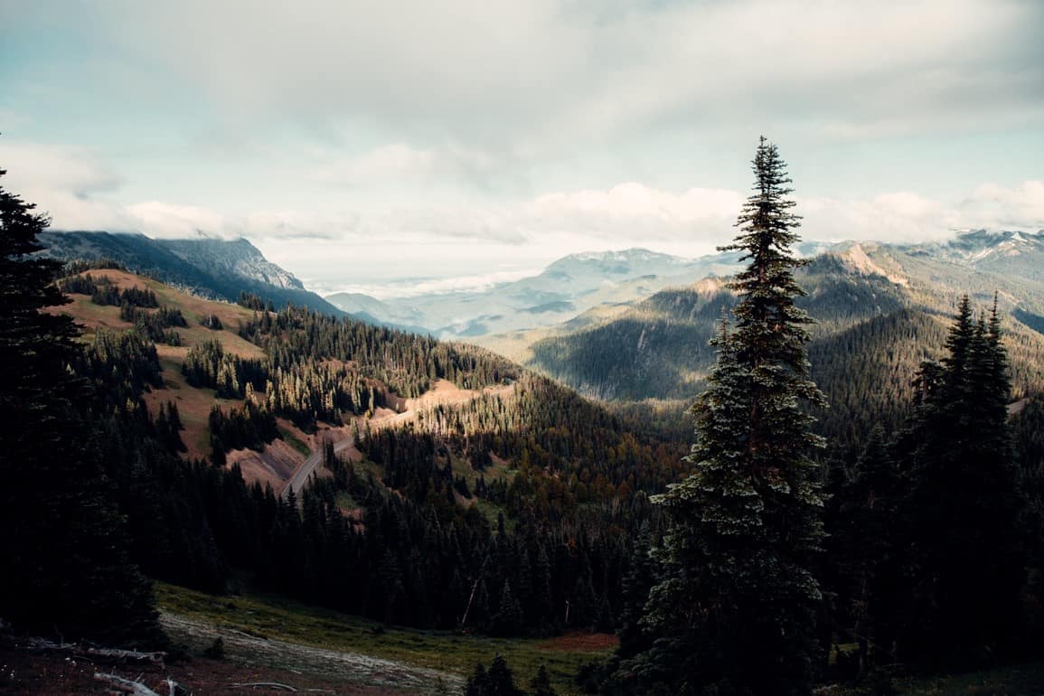 olympic national park