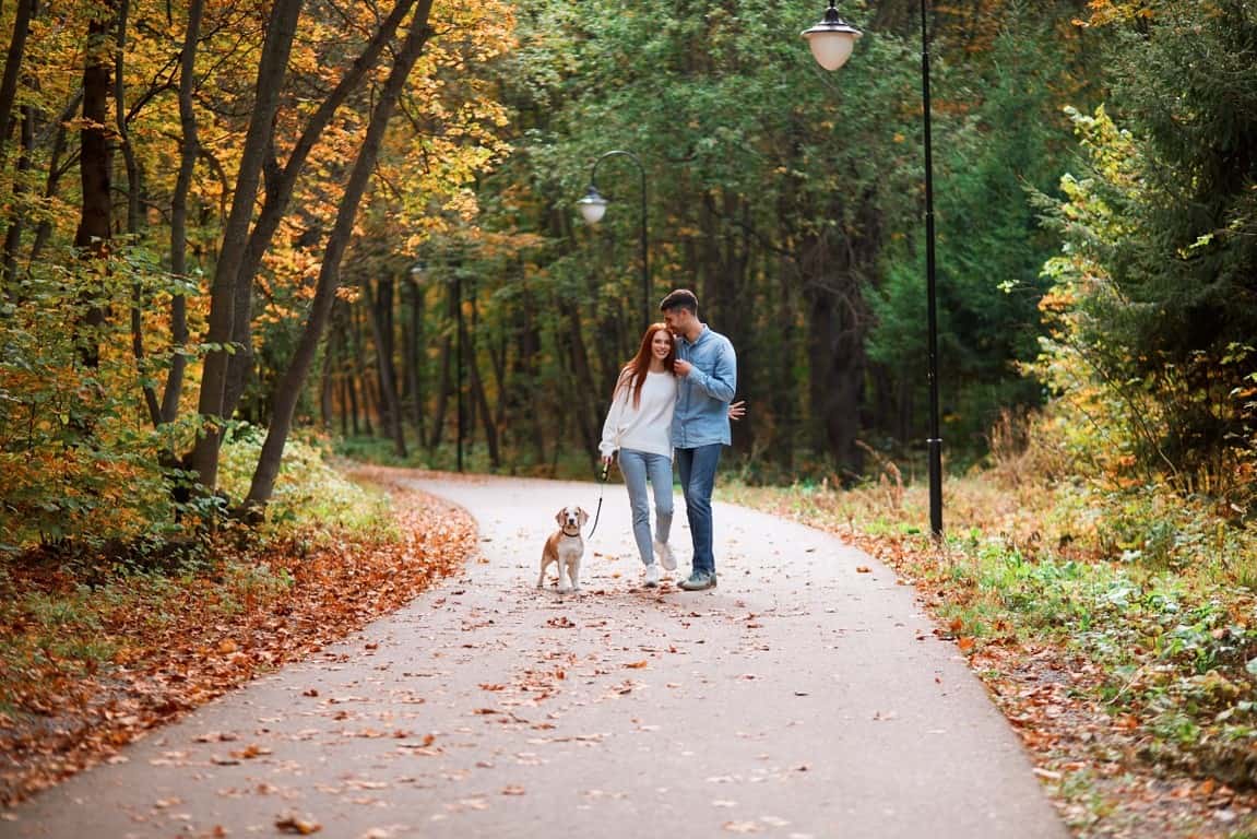 walk park couple