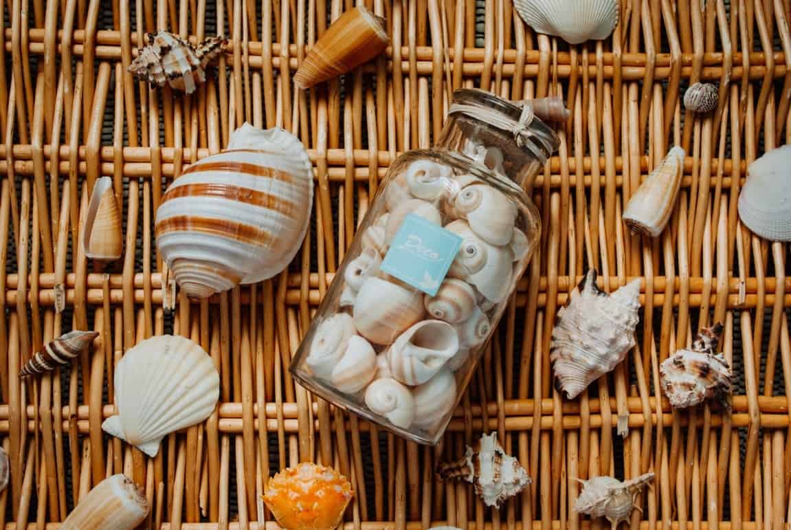 seashells jar