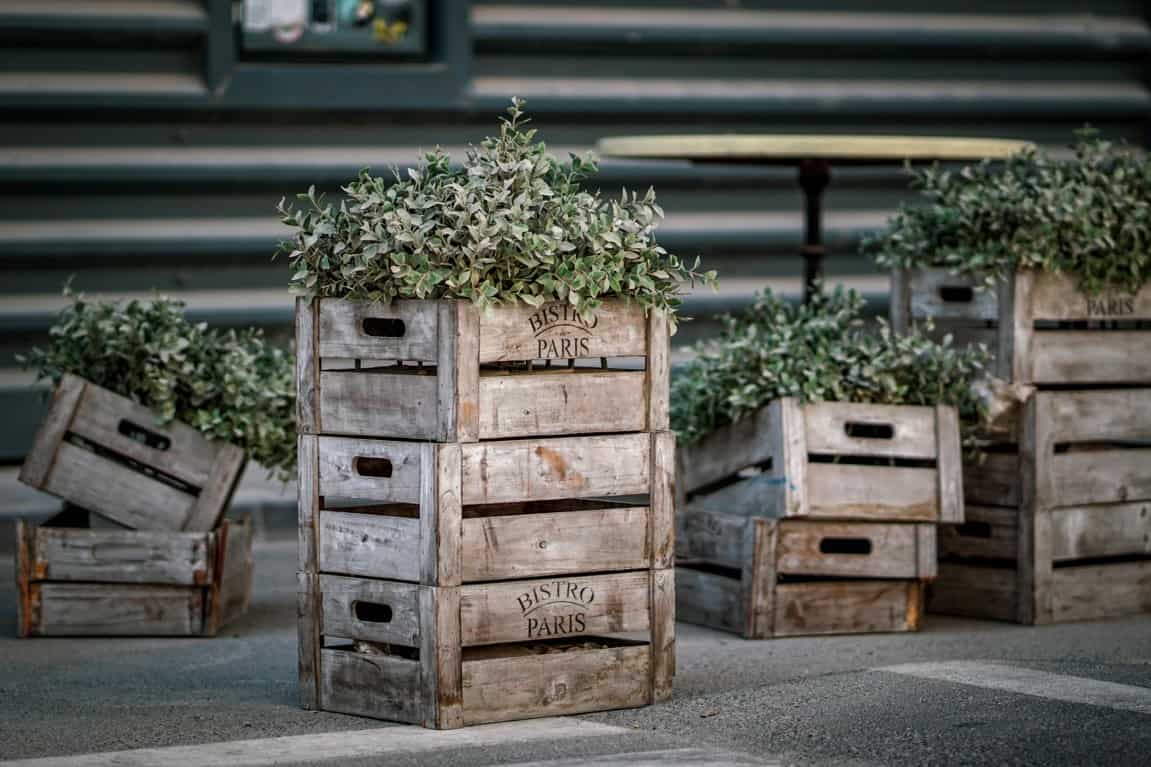 crates plants