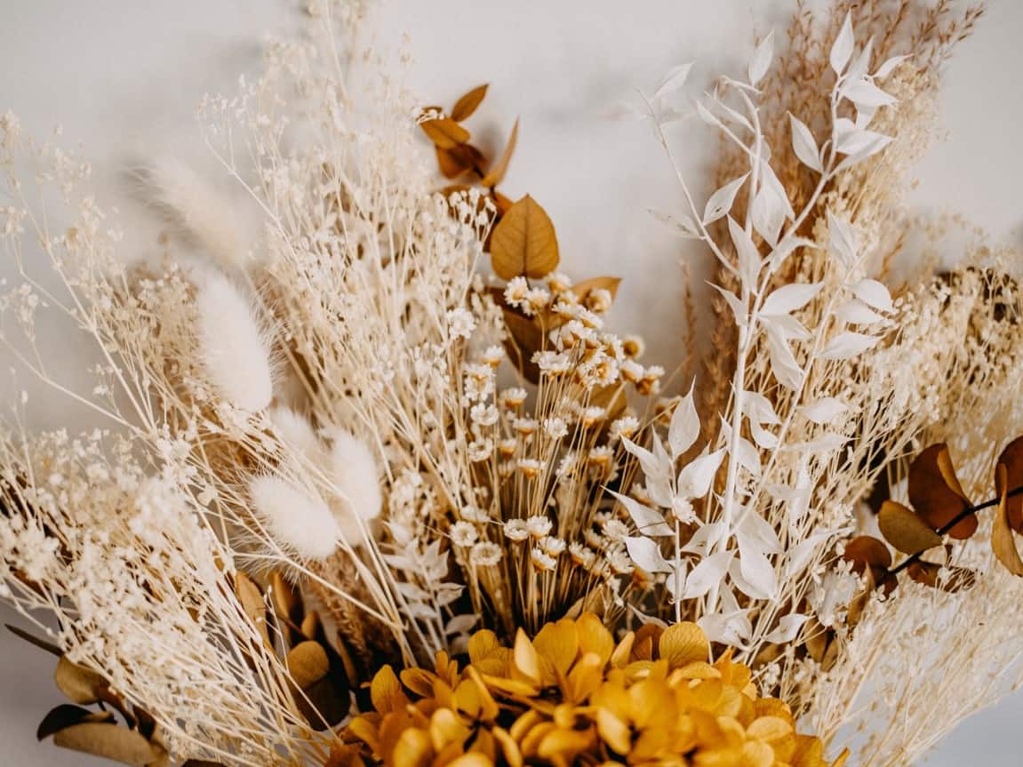 dried flowers