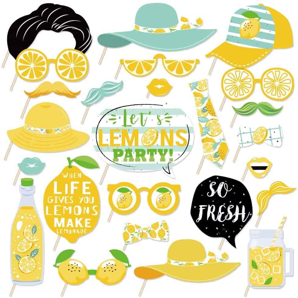 lemon themed photoshoot props