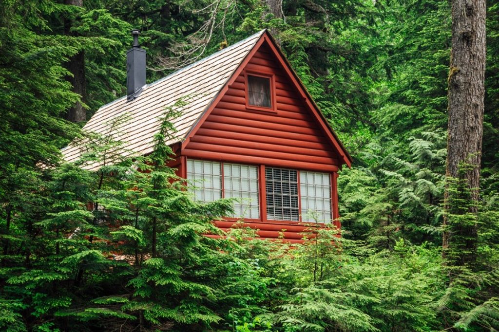 small cabin in the woods