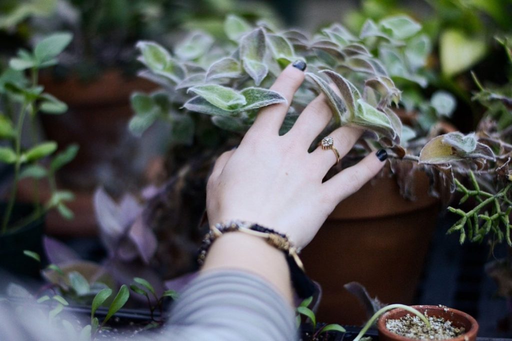 woman wearing jewelry touching plants