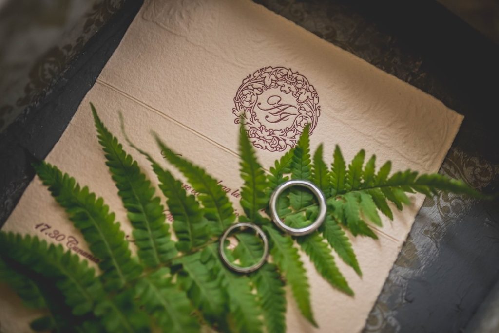wedding invitation covered with pine tree leaf