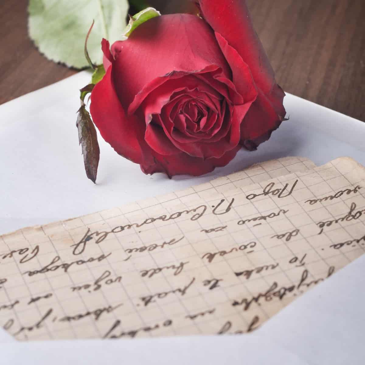 Letter to Daughter-in-Law on Wedding Day (7 Examples & Templates)