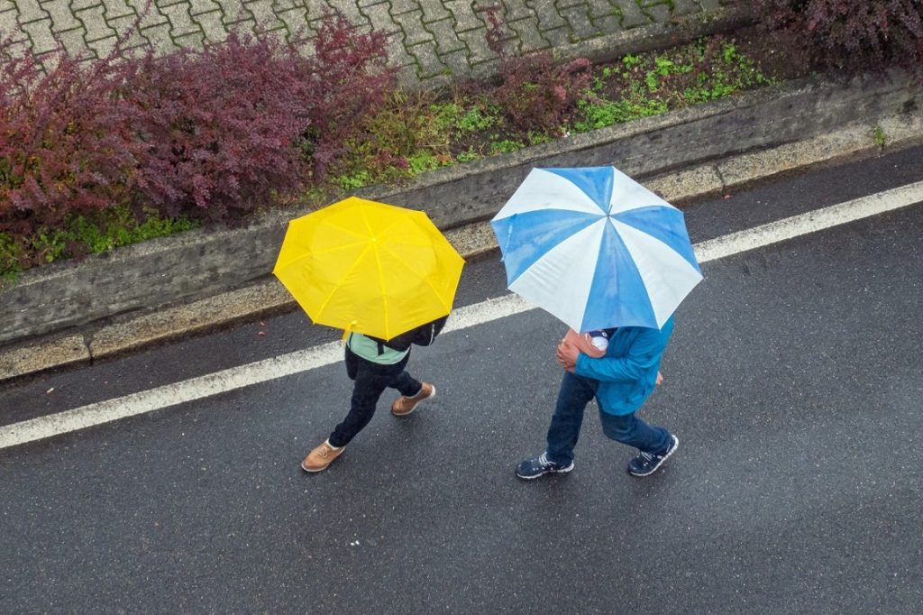 two men holding an umbrella
