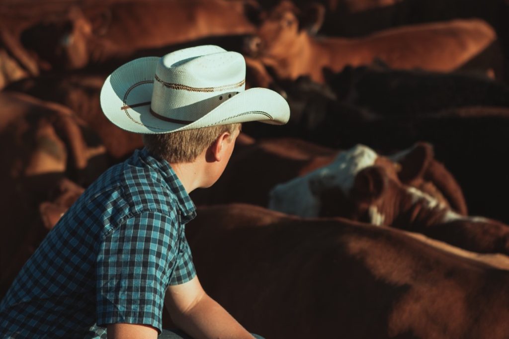 man wearing cowboy hat