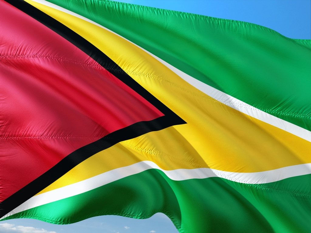 guyana flag