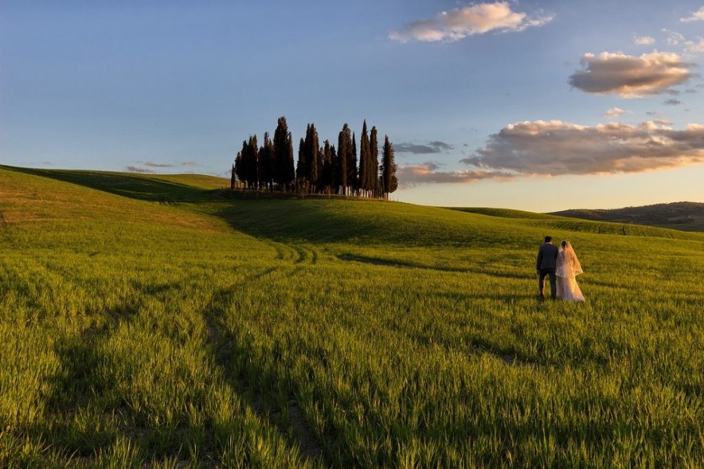 newlyweds standing on a meadow