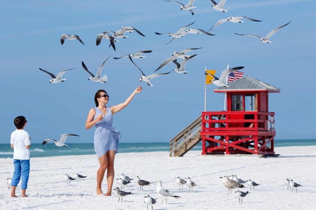 woman playing with seagulls