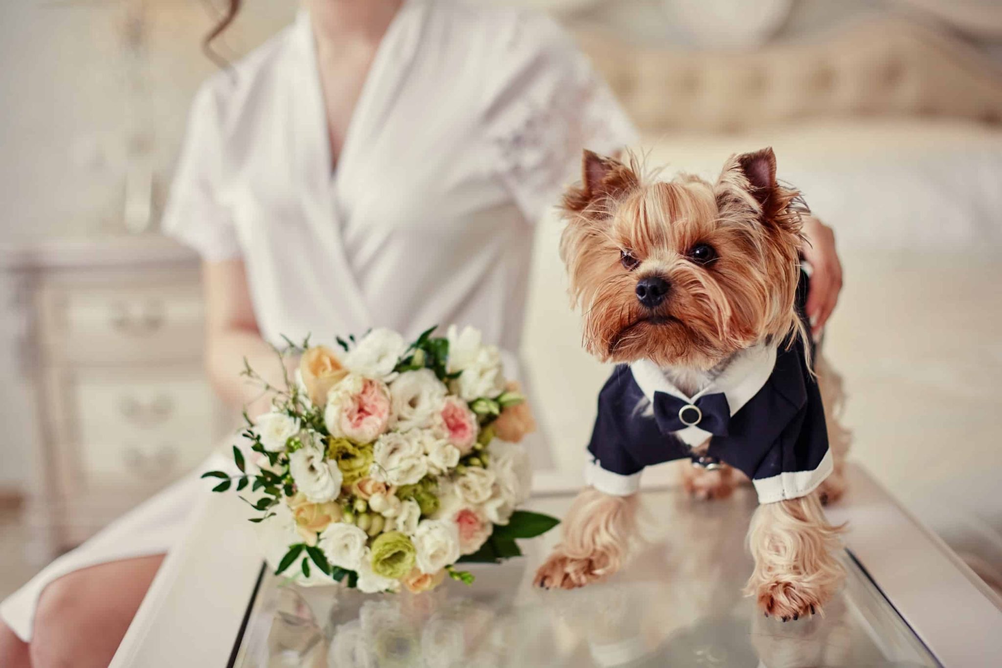8 Memorable Wedding Ring Bearer Alternatives