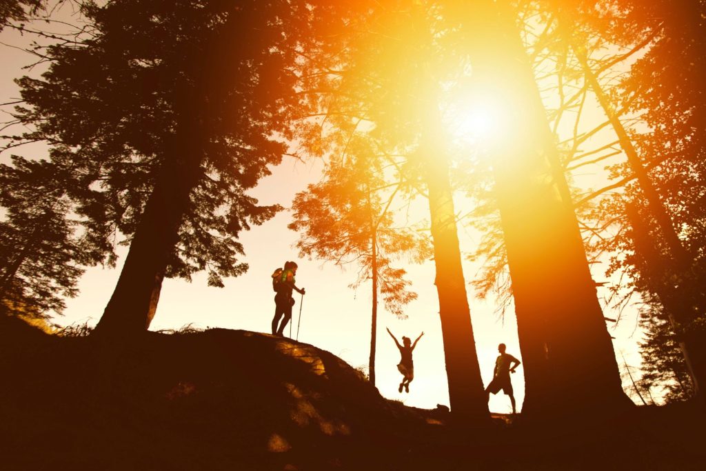 silhouettes of three hikers in between tall trees