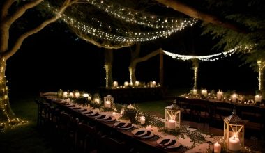 romantically lit enchanted woodland-themed reception